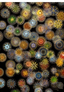 Detailed view of colorful PET firework stickers with gold foil for DIY journaling