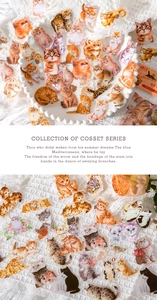 Macro shot of 40 decorative PET cat stickers featuring various lifelike feline poses