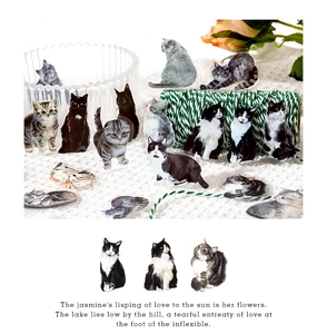 Detailed view of various cute cat PET stickers for scrapbooking with multiple cat breeds