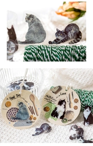Detail of adorable cat PET stickers and decorative tags for journaling and crafts