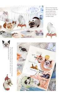 Detail of PET cat stickers with hand-painted watercolor illustrations and English script
