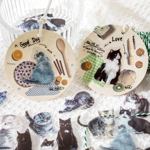 Cat series PET stickers and hanging tags set for scrapbooking and DIY crafts