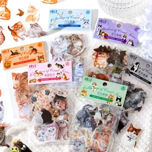 Candy Poetry 40pcs PET transparent cat stickers for scrapbooking and journal decoration