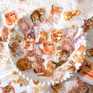 Realistic cat PET stickers set featuring various feline breeds on a white ceramic tray