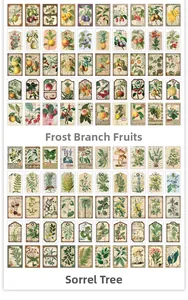 Dettaglio di adesivi vintage con illustrazioni retrò di frutti e piante botaniche