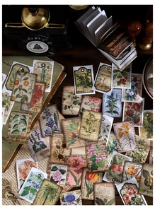 Détails d'autocollants botaniques vintage avec fleurs et esthétique de papier rétro