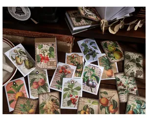 Dettaglio degli adesivi botanici vintage con 50 fogli di decorazione artistica rétro