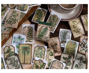 Détail d'autocollants botaniques vintage avec illustrations de plantes et texture papier rétro