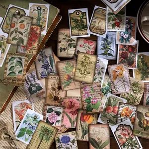 Lot de stickers floraux rétro vintage avec illustrations botaniques et design nostalgique