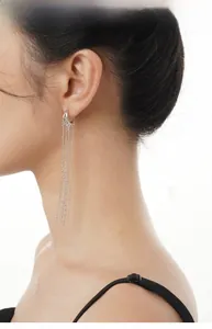 Detail of S925 sterling silver long tassel drop earrings worn by a model in profile