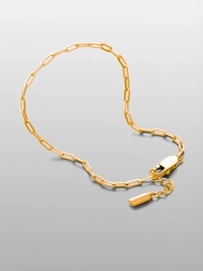 Detail of golden paperclip chain bracelet with lobster clasp and rectangular metal tag