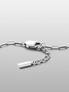 Detailed macro view of stainless steel paperclip chain with lobster clasp and tag