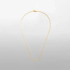Detailed shot of golden snake chain necklace with lobster clasp and tiny metal tag