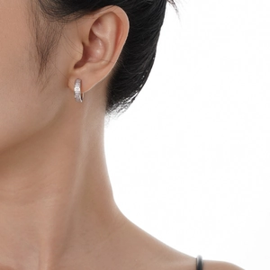 Orecchini a cerchio in argento sterling S925 con doppia fila di zirconi micro-incastonati