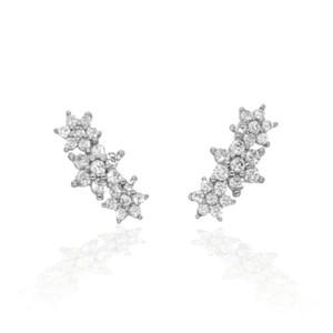 Boucles d'oreilles hexagramme en argent sterling S925 avec zircons sur fond blanc