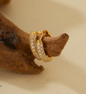 Macro shot of gold hoop earrings with pavé crystals hanging on a textured wood branch