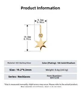Detailed specifications of S925 sterling silver hexagram pendant in 18K gold finish