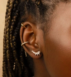 Gros plan détaillé de boucles d'oreilles ailes dorées et de bagues d'oreilles avec zircons