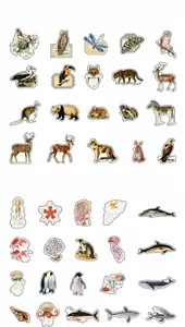 Vista macro dettagliata degli adesivi PET retrò animali e fiori per scrapbooking fai-da-te