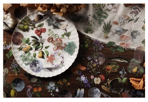 Dettaglio artistico di adesivi PET vintage con piante e pianeti su piatto ceramica