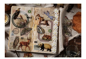 Dettagli di adesivi PET vintage con animali e fiori per decorazioni fai-da-te e journaling