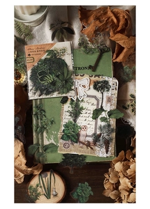 Dettaglio di adesivi botanici in PET con disegni di felci e pigne in stile foresta vintage