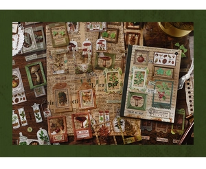 Détail de stickers nature vintage avec champignons de forêt et motifs de cadres botaniques