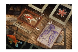 Détail de stickers vintage transparents imperméables avec poissons et méduses