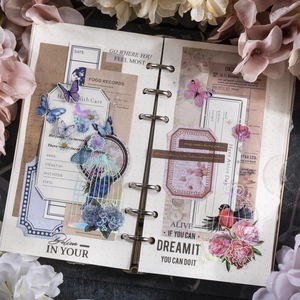 Vintage PET stickers featuring birdcages and butterflies for DIY scrapbooking decoration
