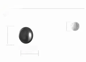 Size comparison of 8mm black onyx stud earring next to a 25mm coin on white background