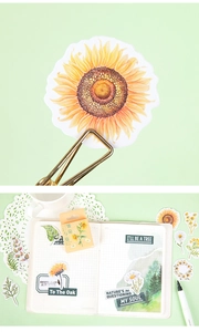 Detail of sunflower and daisy stickers with vintage botanical designs for journaling