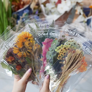 Getrocknete Blumen PET Aufkleber Set mit Gänseblümchen für DIY Journaling und Basteln
