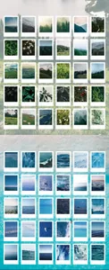 Detailed view of polaroid style landscape stickers featuring forest and ocean themes