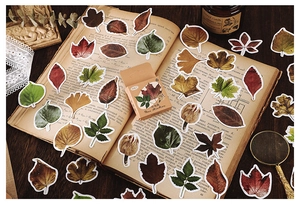 Macro shot of 46 autumn leaf stickers on vintage book with candle and magnifier