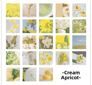 Detailed grid showing 23 creamy apricot aesthetic floral and lifestyle stickers