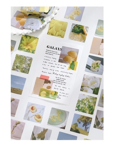 Detailed flat lay of floral and lemon themed scrapbook stickers with vintage poetry text