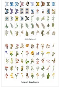 Botanical and butterfly themed washi stickers collection for scrapbooking and DIY decor