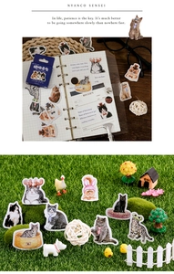 Detail of Mister Kitty sticker box set featuring diverse cat illustrations for DIY decor