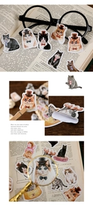 Macro detail of vintage cat stickers with matte finish and white self-adhesive backing