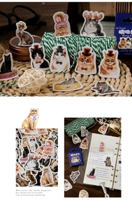 Close-up of cat stickers featuring diverse breeds with festive hats for diary decoration