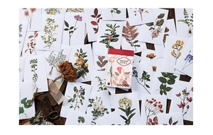 Macro view of vintage botanical washi stickers with floral illustrations on dark wood