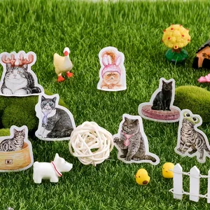 Creative box of 46 pieces cute cat theme paper stickers for DIY scrapbooking decoration