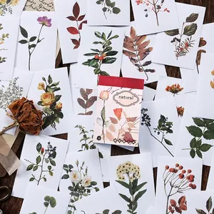 Vintage botanical stickers and plant specimens for DIY scrapbooking and journal decoration