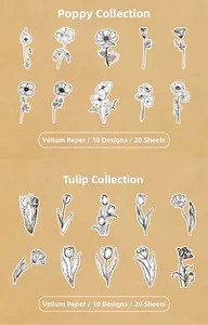 Macro view of vellum paper plant stickers with black and white floral line art