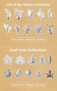 Detailed view of translucent vellum stickers featuring black and white plant sketches