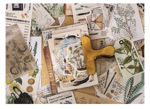 Vista piatta di adesivi per scrapbooking vintage con temi di piante e funghi