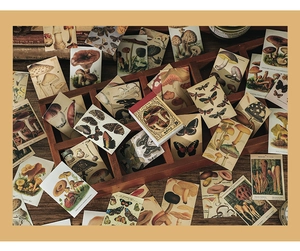 Detail of vintage mushroom and butterfly washi stickers in a nostalgic wooden setup