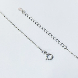 Macro shot of S925 sterling silver chain featuring spring clasp and engraved metal tag