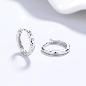 925 silver hoop earrings with sparkling star pattern and micro-set zircon stones
