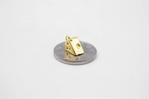 Macro view of S925 sterling silver cheese pendant on a coin showing actual scale